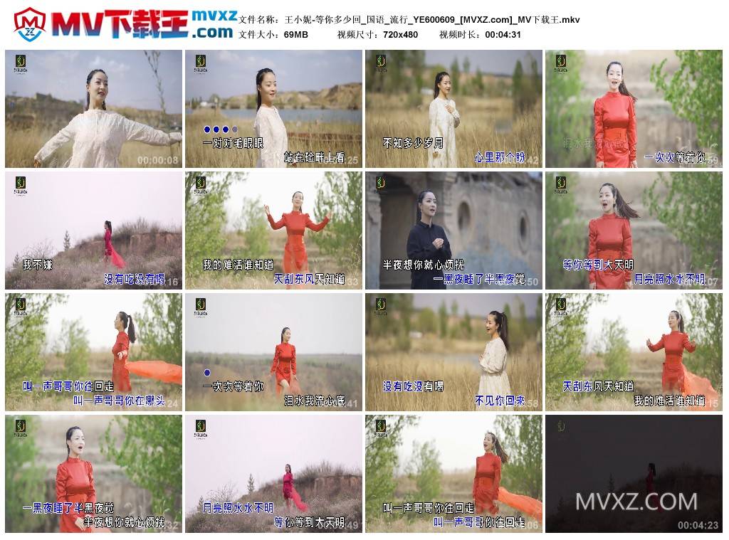 王小妮-等你多少回_国语_流行_YE600609